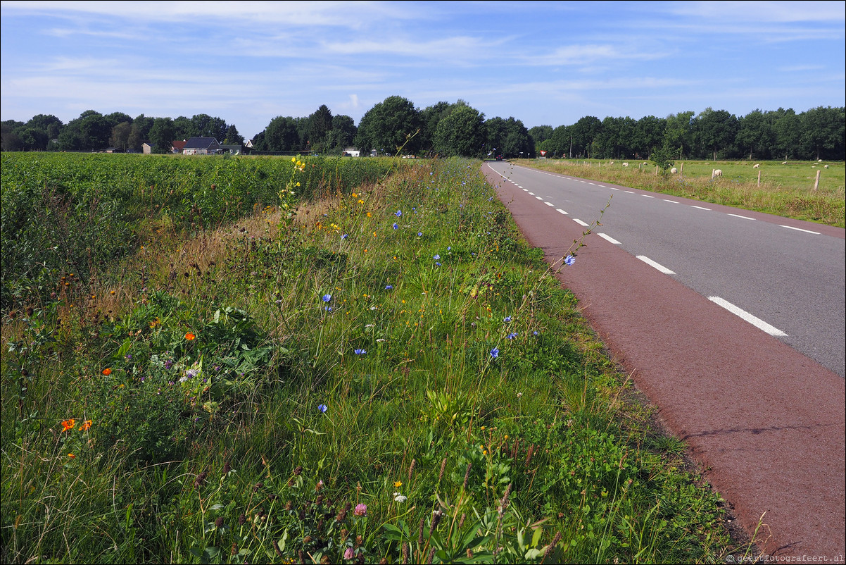 Grenspad Weiteveen - Coevorden