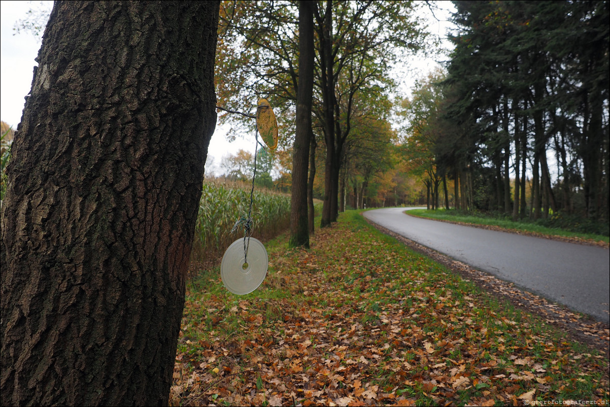 Grenspad: Hardenberg - Ootmarsum