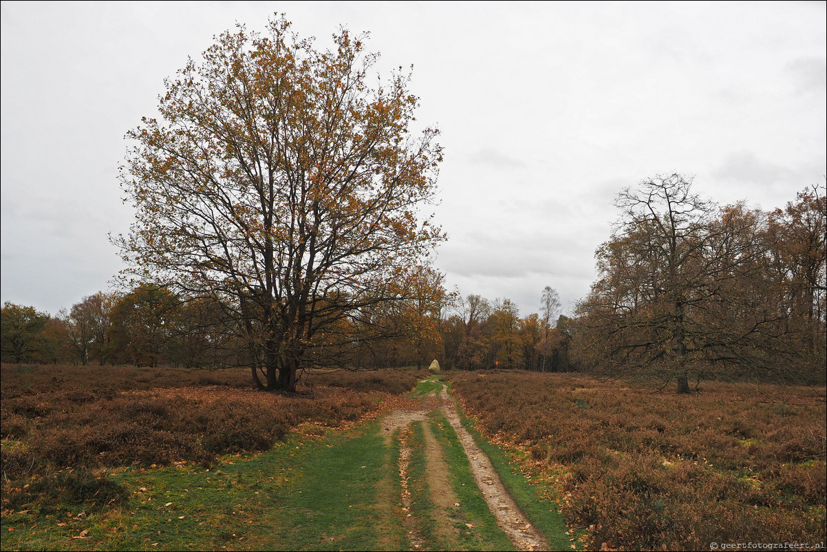 Grenspad: Hardenberg - Ootmarsum