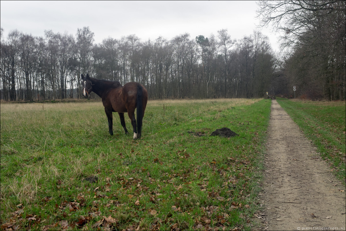 Grenspad Glanerbrug Haaksbergen