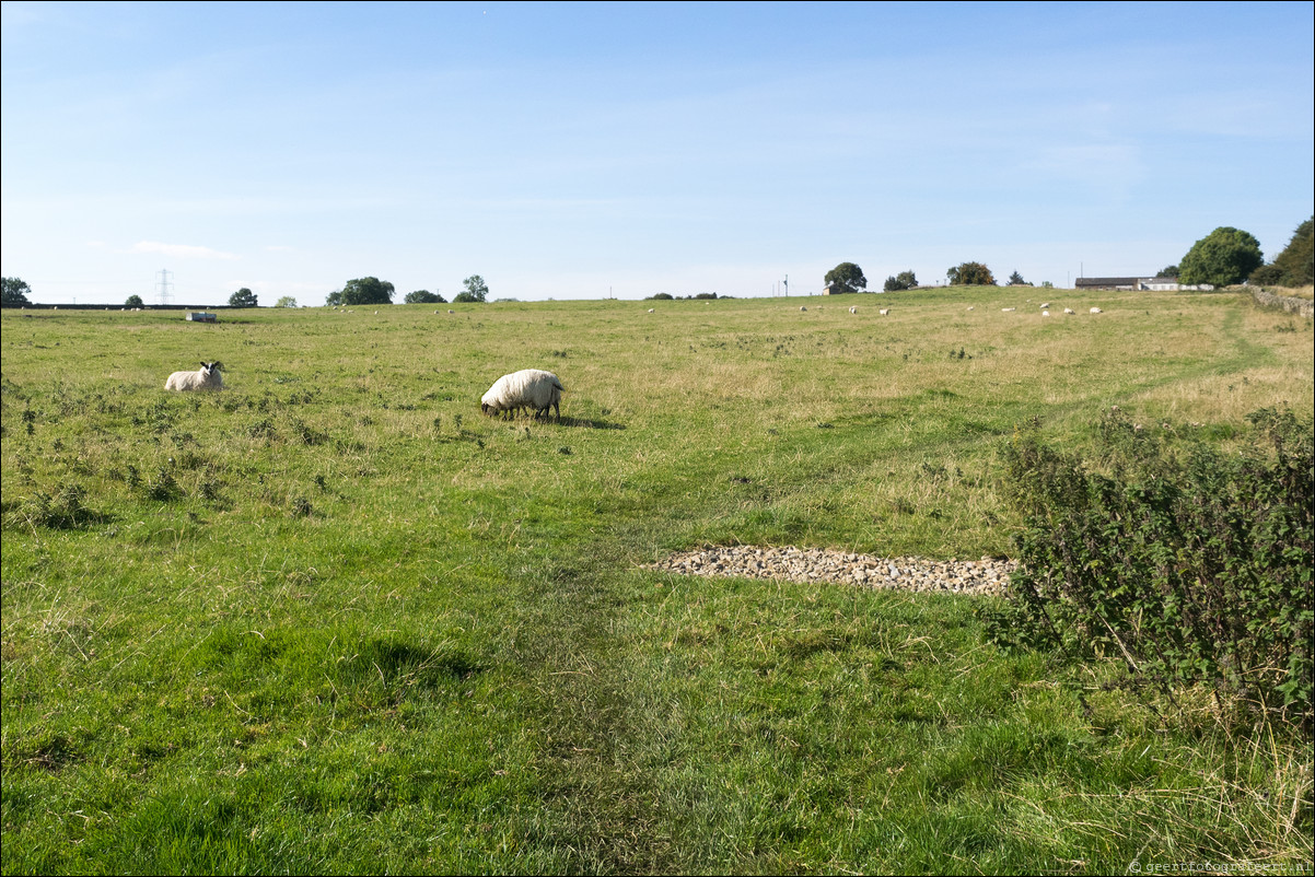 Hadrian Wall Walk -  Muur van Hadrianus Haddon-on-the-Wall - Chollerford