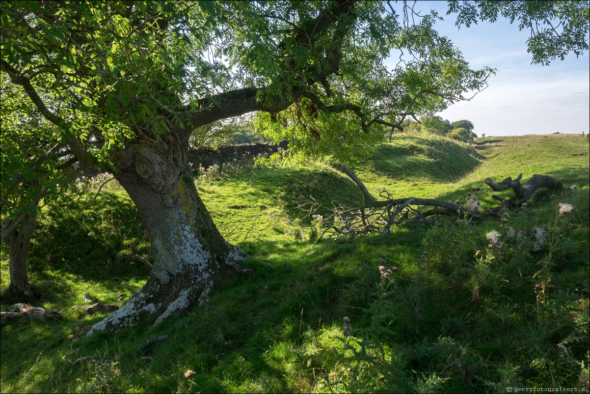 Hadrian Wall Walk -  Muur van Hadrianus Haddon-on-the-Wall - Chollerford