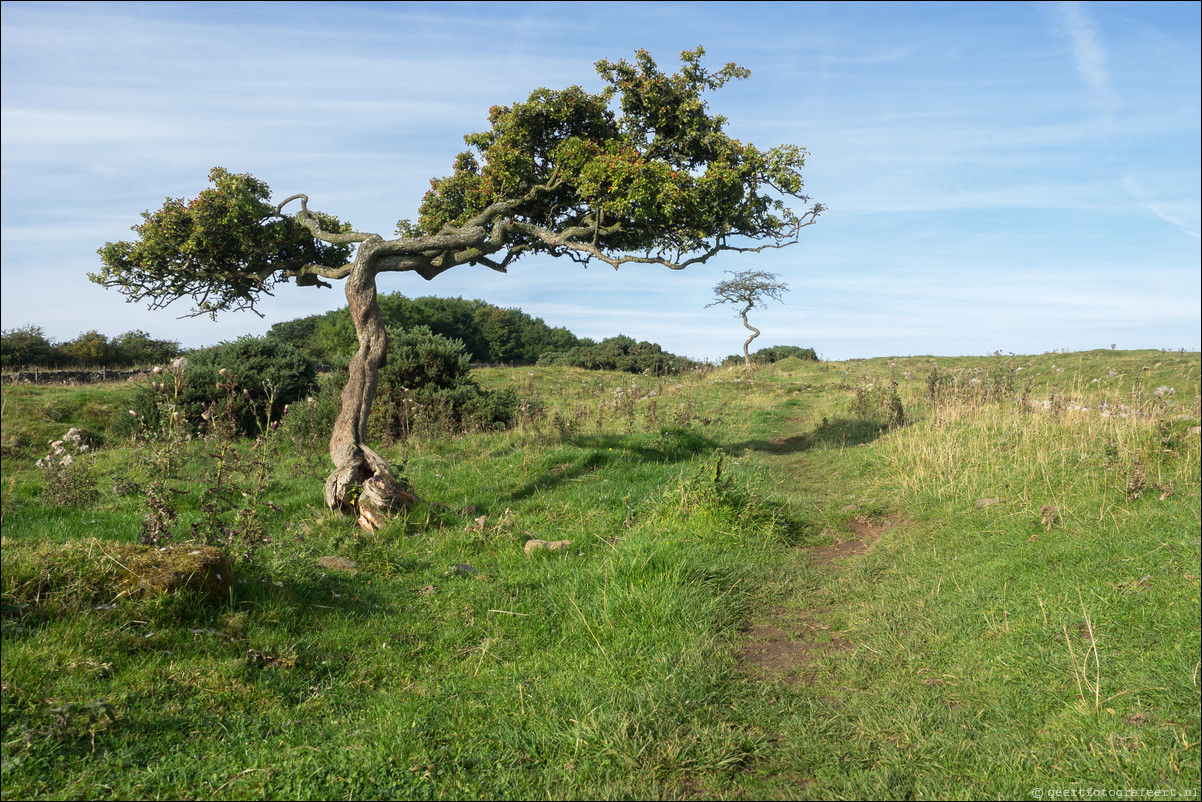 Hadrian Wall Walk -  Muur van Hadrianus - Chollerford - Once Brewed