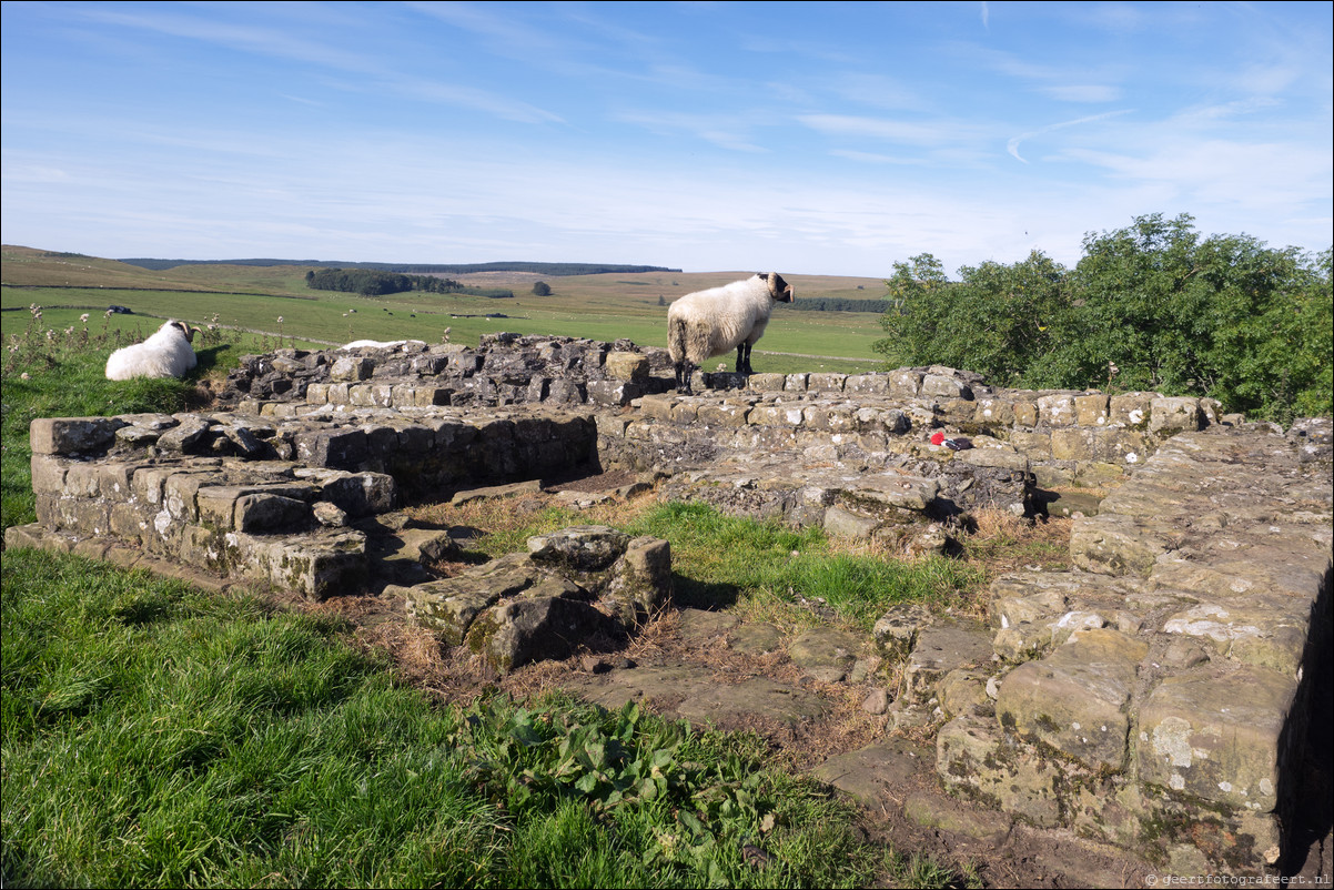 Hadrian Wall Walk -  Muur van Hadrianus - Chollerford - Once Brewed