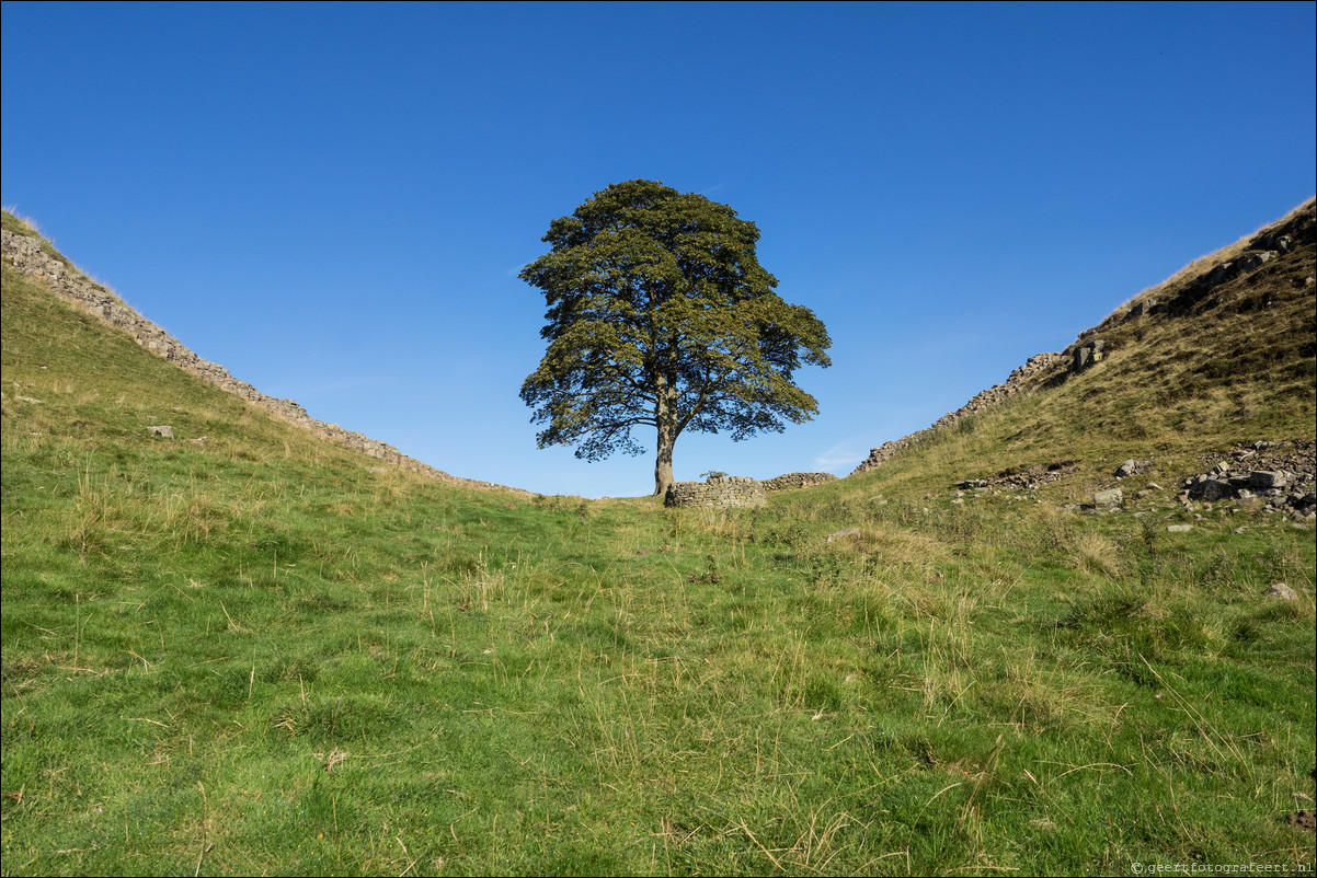 Hadrian Wall Walk -  Muur van Hadrianus - Chollerford - Once Brewed