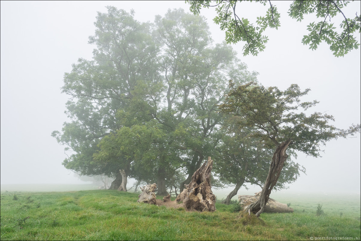 Hadrian Wall Walk -  Muur van Hadrianus Carlisle - Bowness-on-the-Solway