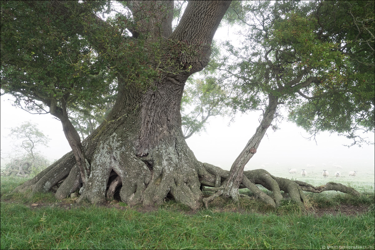 Hadrian Wall Walk -  Muur van Hadrianus Carlisle - Bowness-on-the-Solway