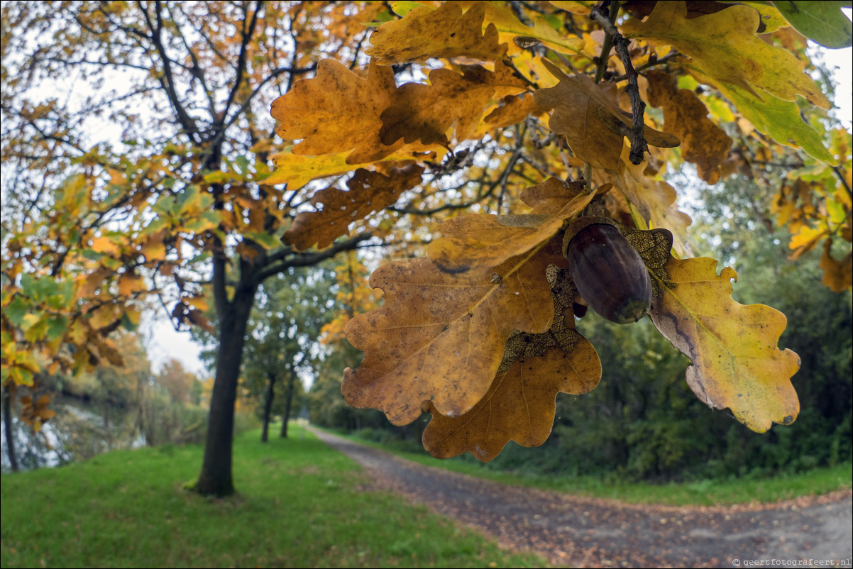 Herfst