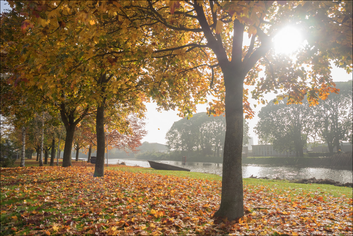 Herfst