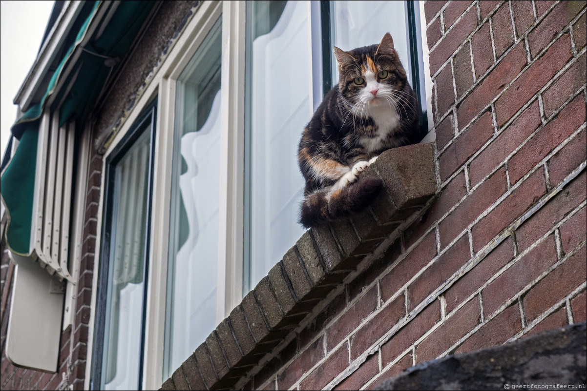 Zuiderzeepad Enkhuizen - Hoorn