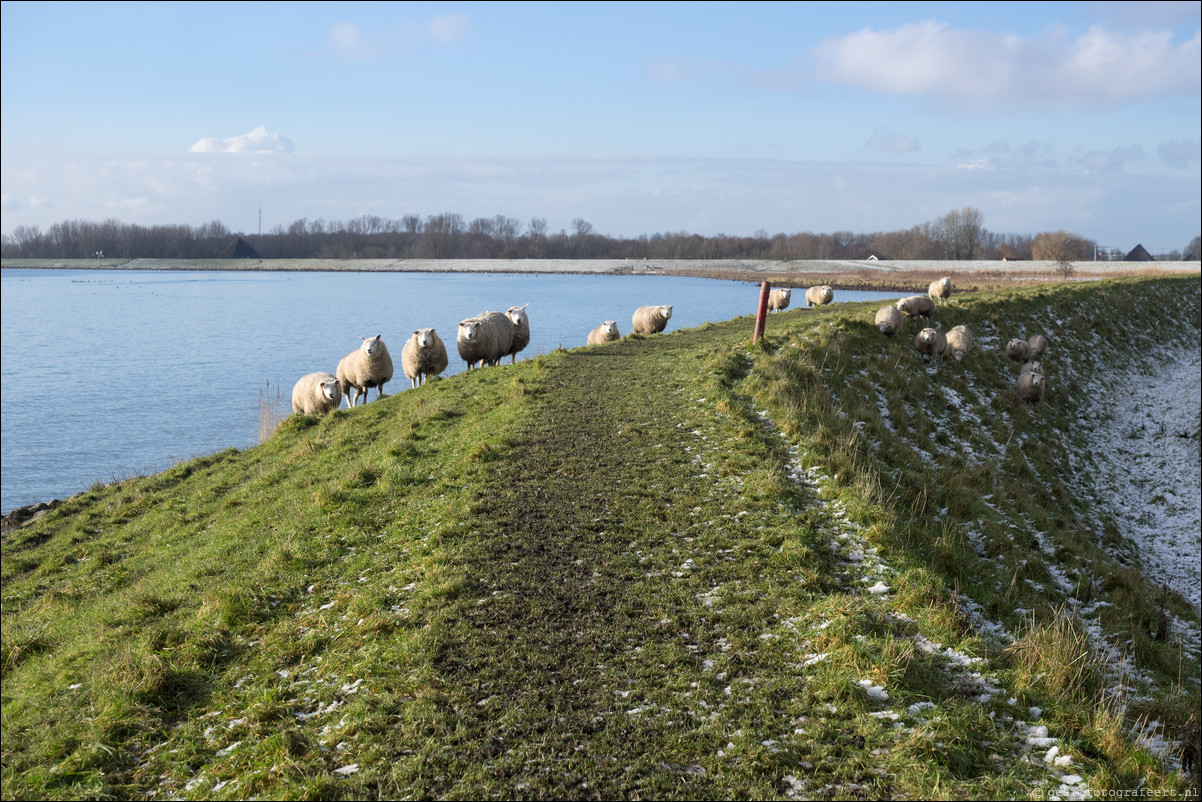 Zuiderzeepad Hoorn - Edam