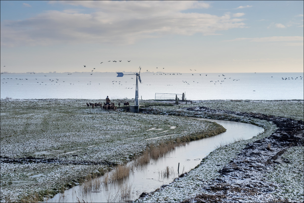 Zuiderzeepad Hoorn - Edam