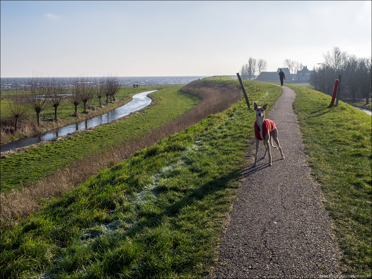 Zuiderzeepad Edam Volendam Monnickendam