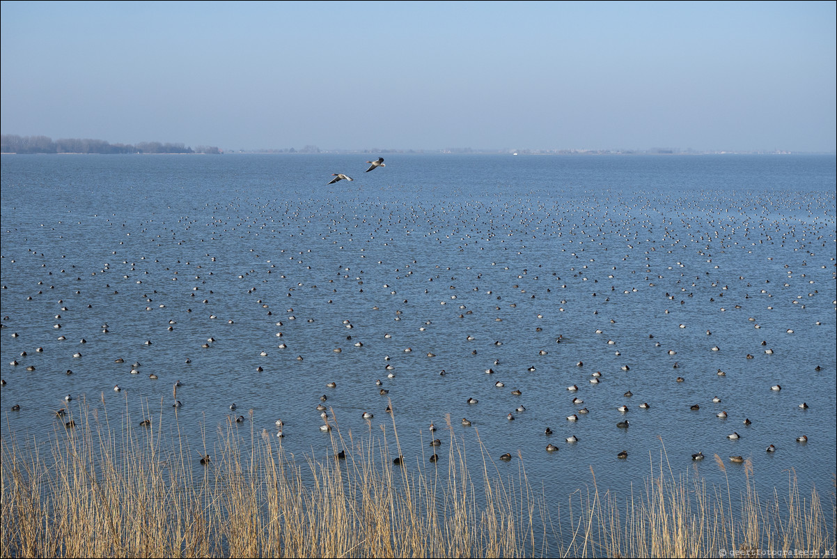 Zuiderzeepad Monnickendam Marken