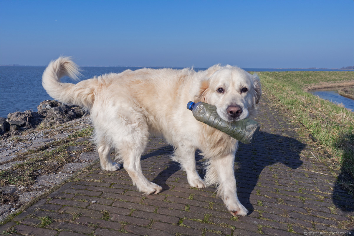 Zuiderzeepad Monnickendam Marken