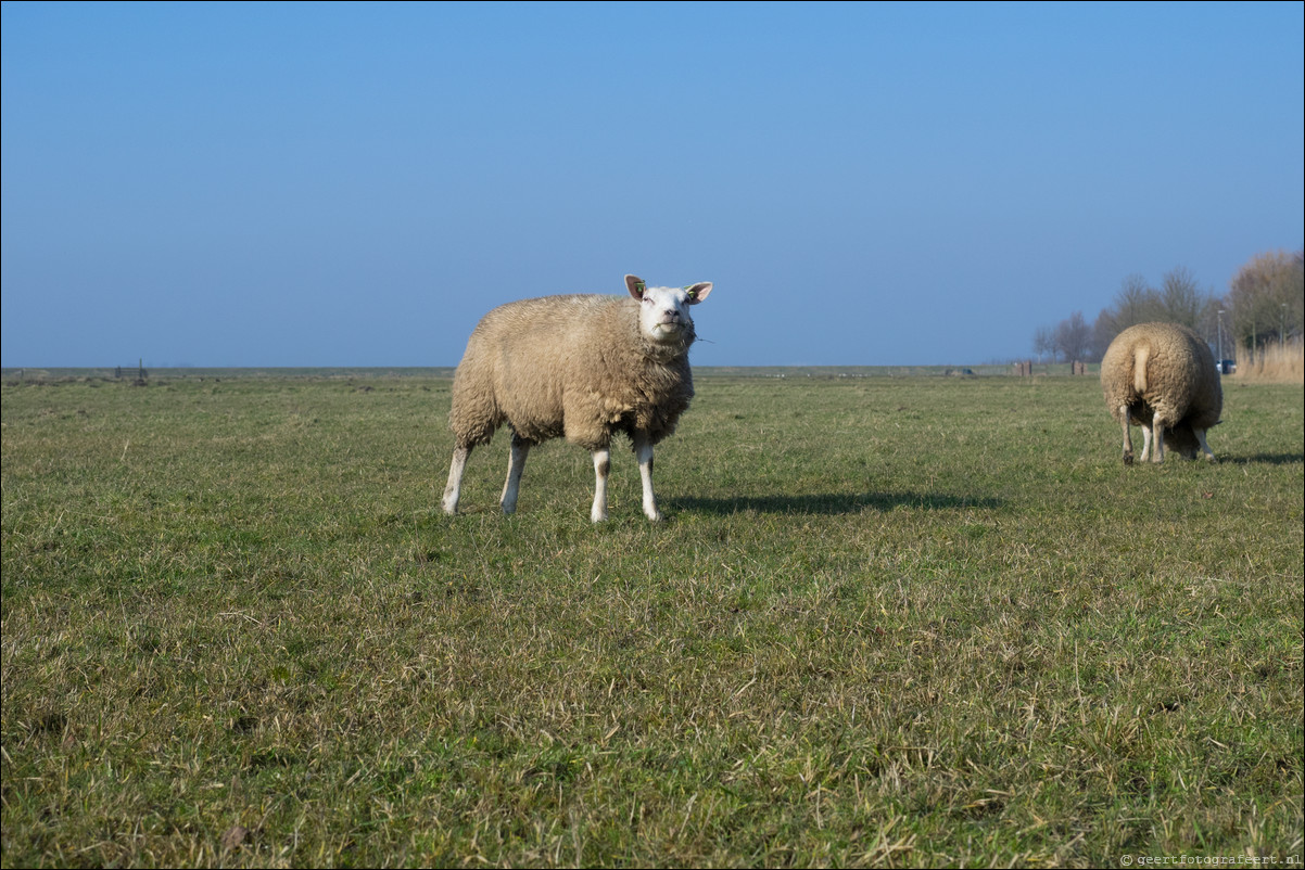 Zuiderzeepad Monnickendam Marken