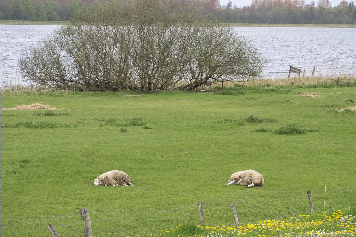 Zuiderzeepad Elburg Kampen