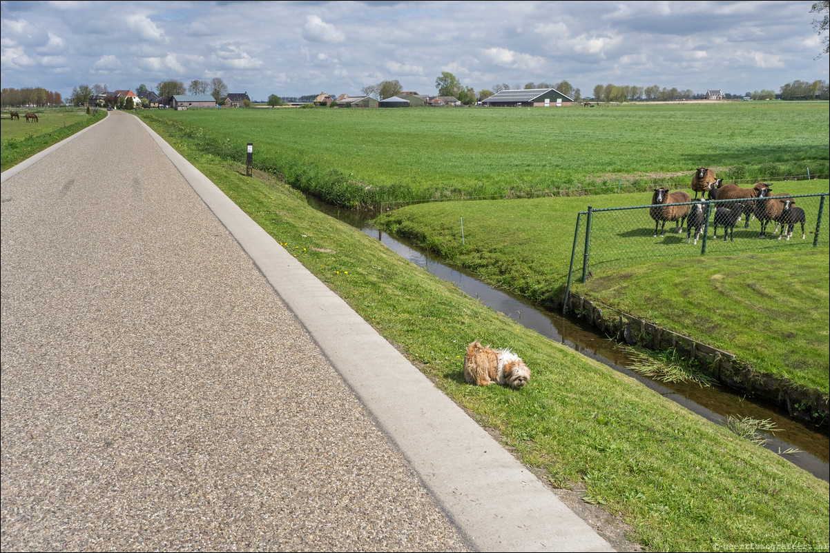 Zuiderzeepad Elburg Kampen