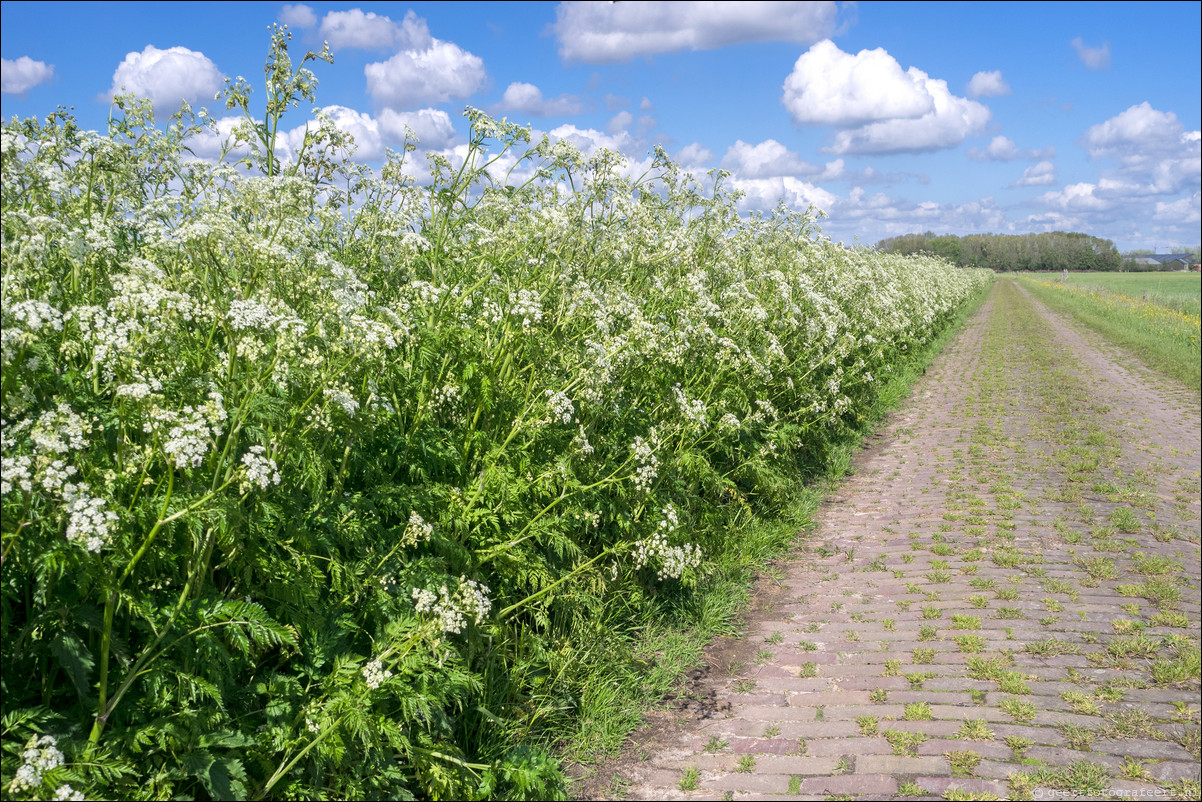 Zuiderzeepad Kampen Genemuiden