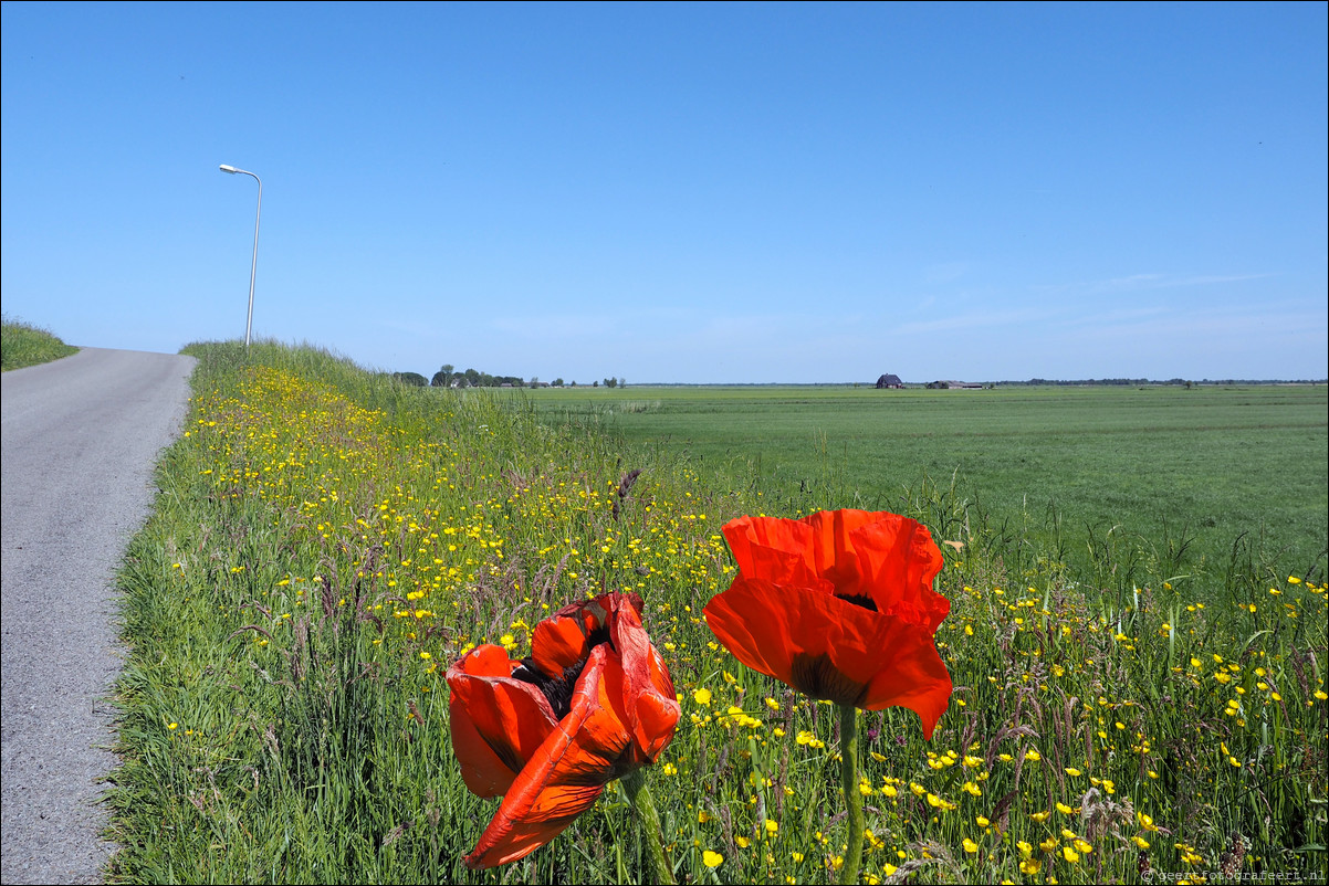 Zuiderzeepad Blokzijl Lemmer