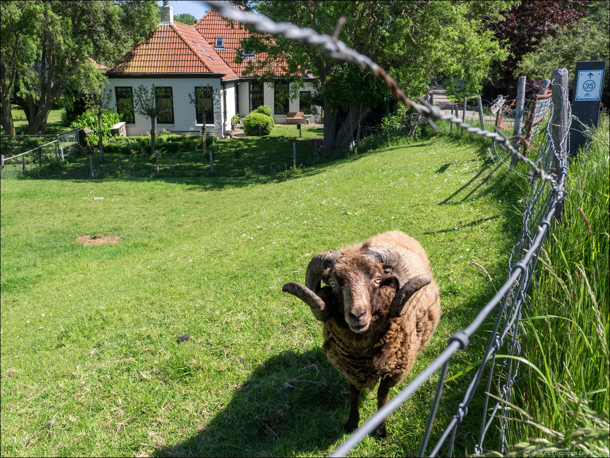 Zuiderzeepad Blokzijl Lemmer