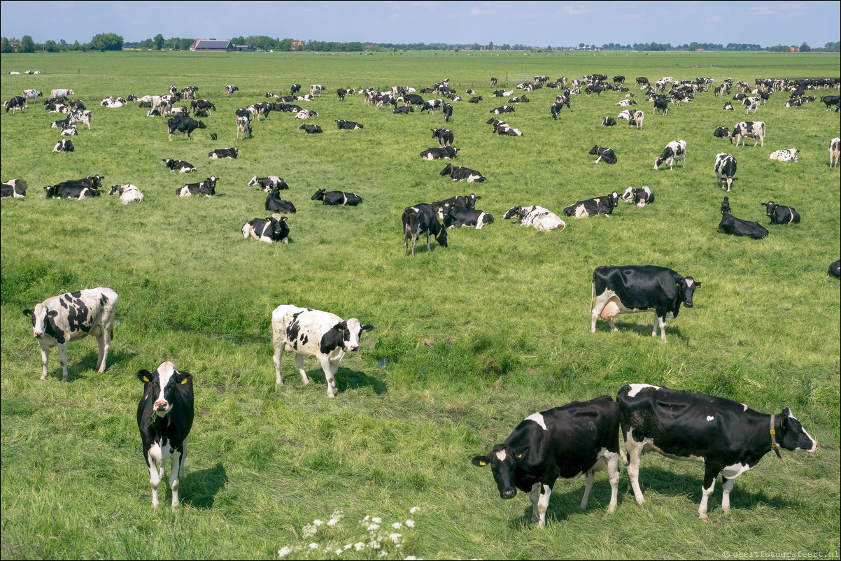 Zuiderzeepad Blokzijl Lemmer