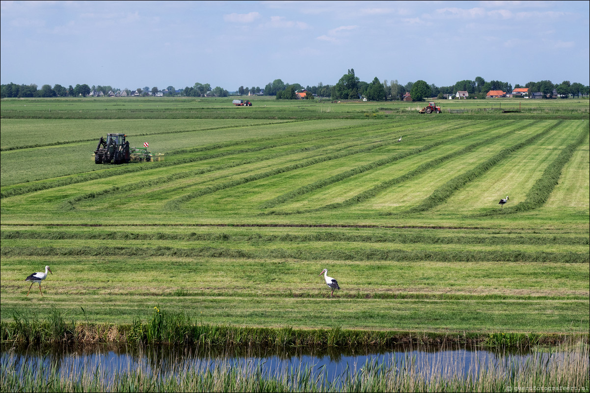 Zuiderzeepad Blokzijl Lemmer