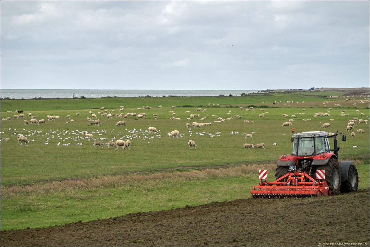 Zuiderzeepad: Lemmer - Stavoren