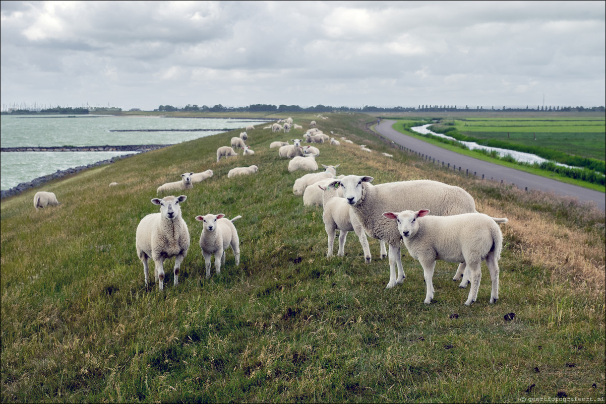 Zuiderzeepad: Lemmer - Stavoren