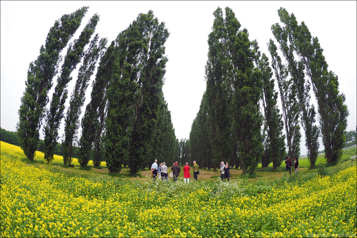 Land Art Flevoland: De Groene Kathedraal (1996), Marinus Boezem