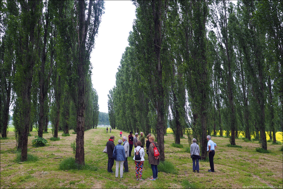 Land Art Flevoland: De Groene Kathedraal (1996), Marinus Boezem