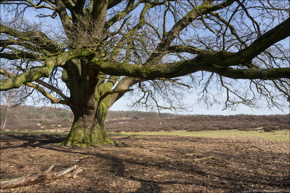 Grenspad DE: Mook - Vielingsbeek