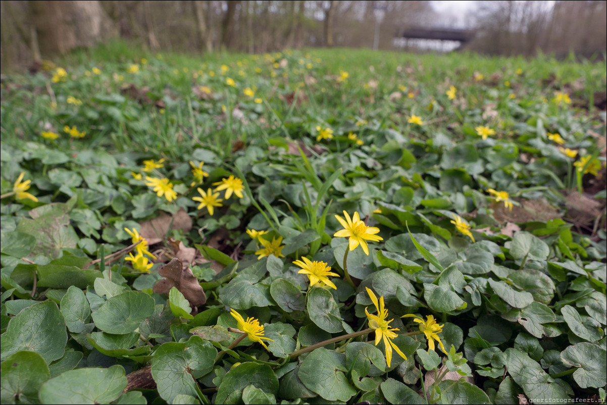 Grenspad DE: Mook - Vielingsbeek