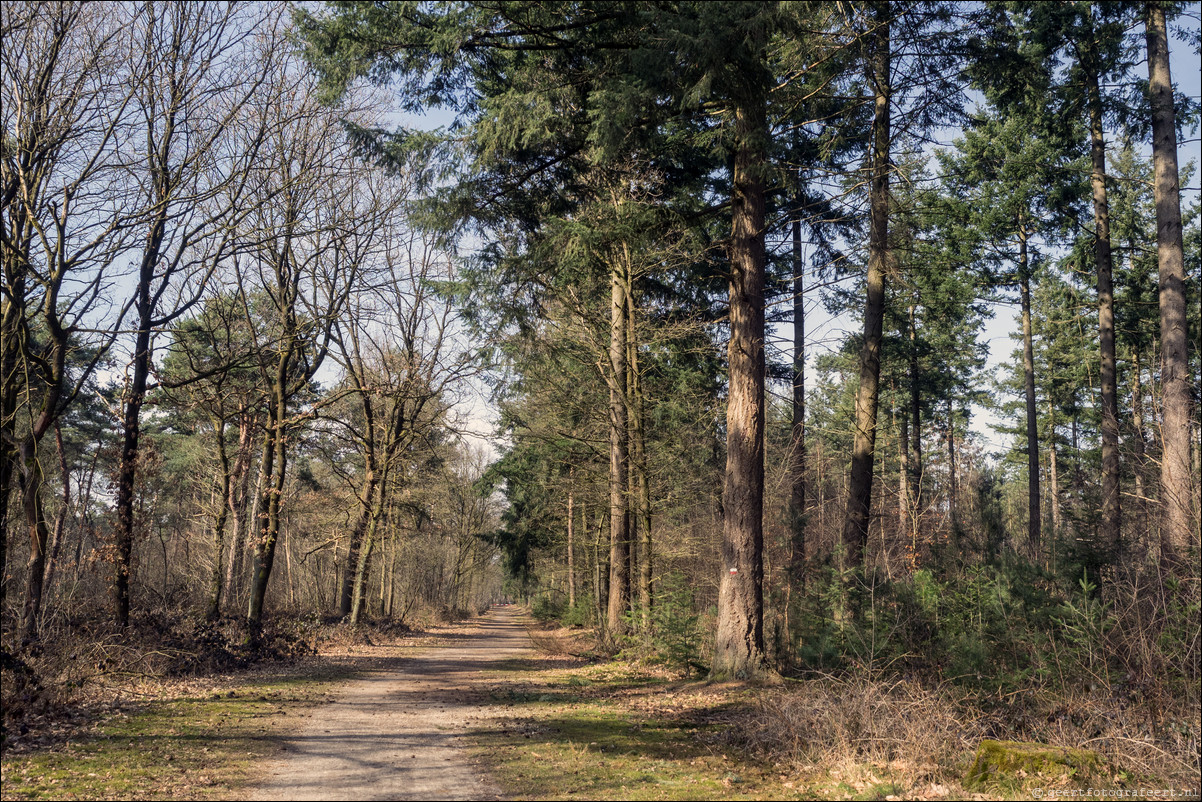 Grenspad DE: Mook - Vielingsbeek