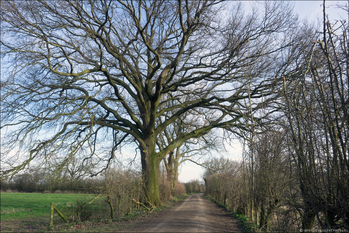 Grenspad DE: Mook - Vielingsbeek