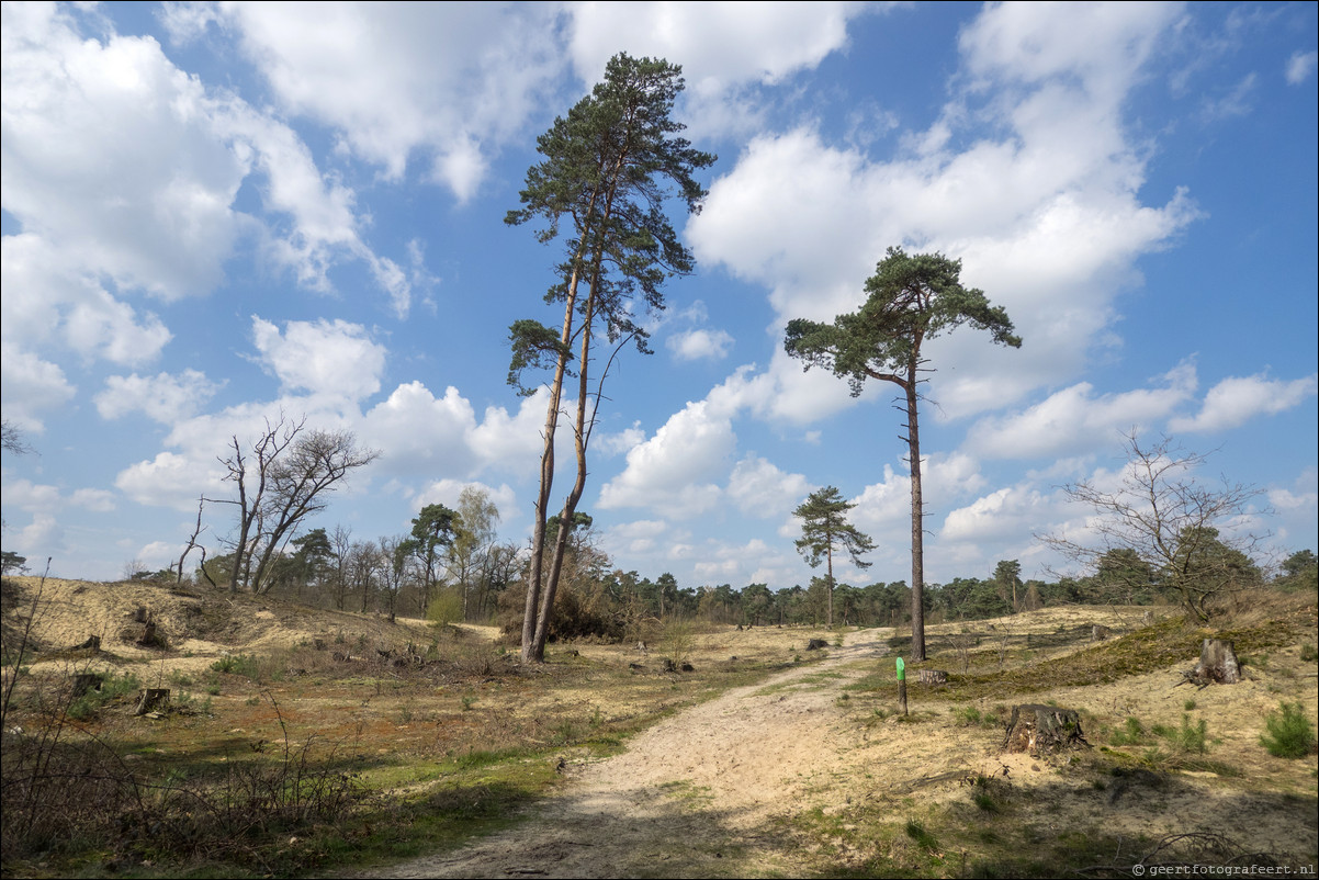 Grenspad DE: Vierlingsbeek - Arcen