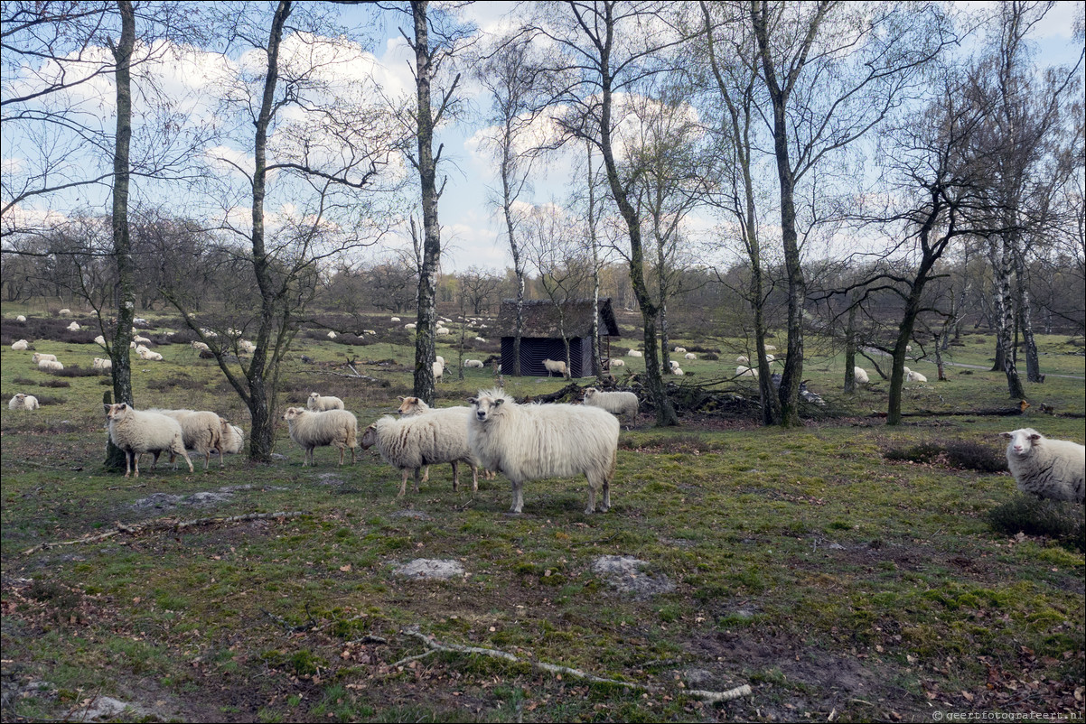 Grenspad DE: Vierlingsbeek - Arcen