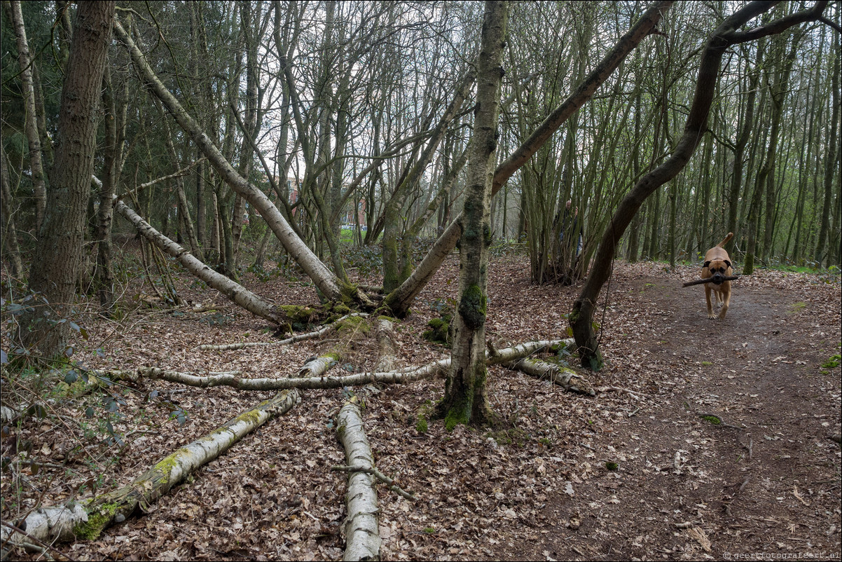 Grenspad DE: Vierlingsbeek - Arcen