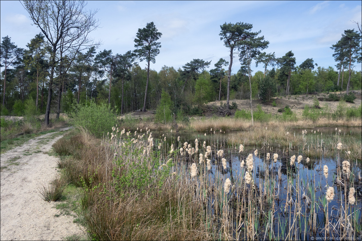 Grenspad DE: Arcen - Venlo