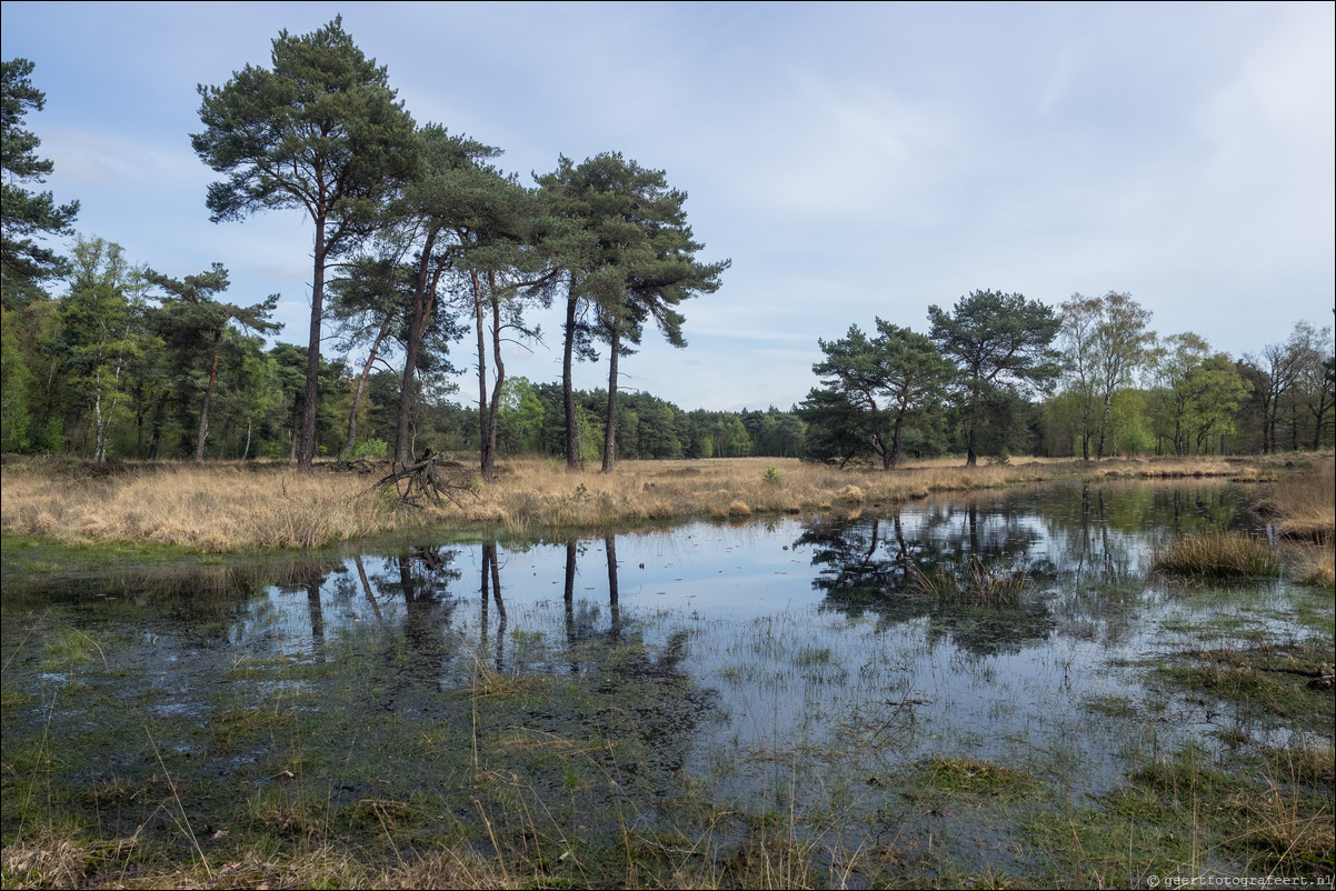 Grenspad DE: Arcen - Venlo