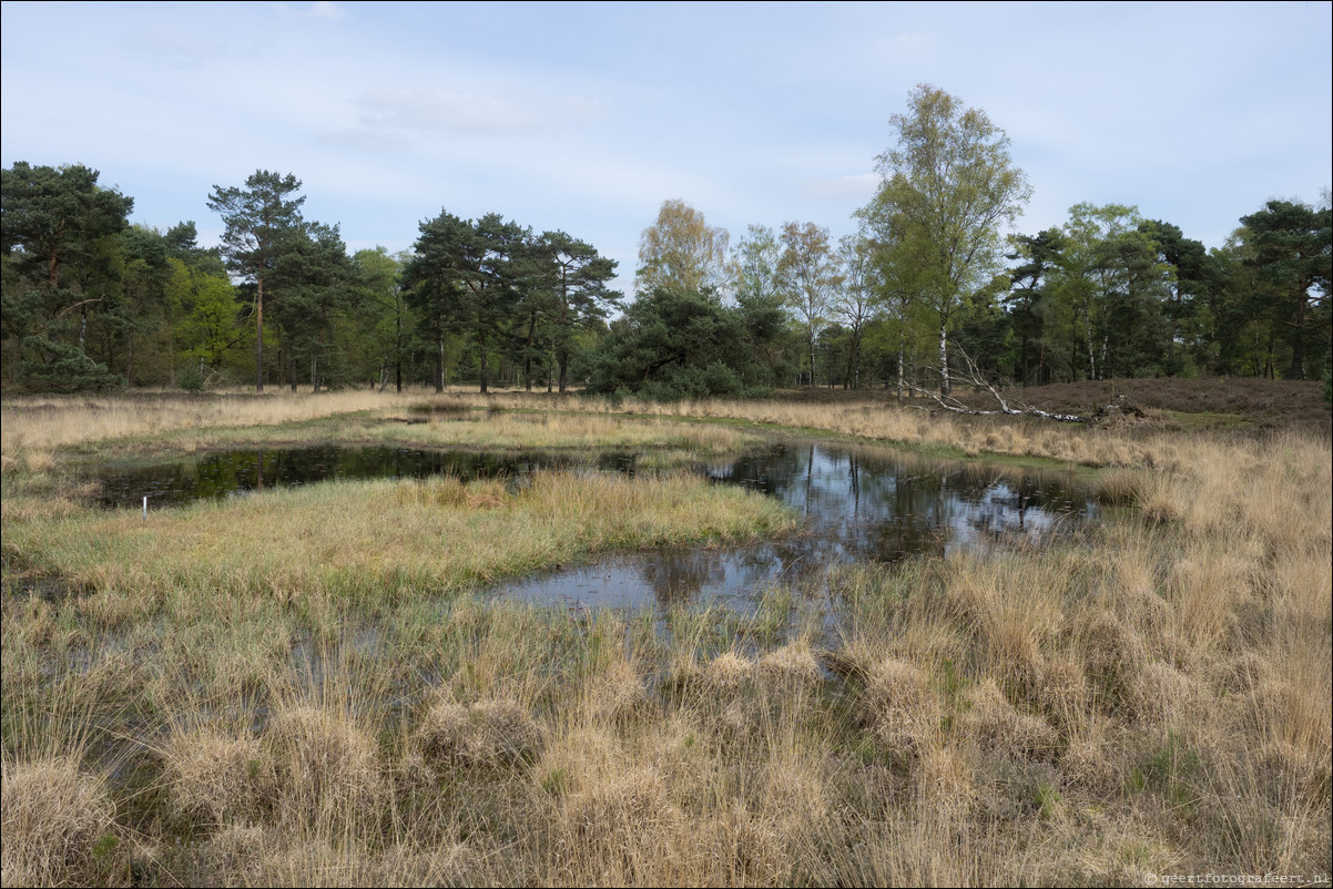 Grenspad DE: Arcen - Venlo