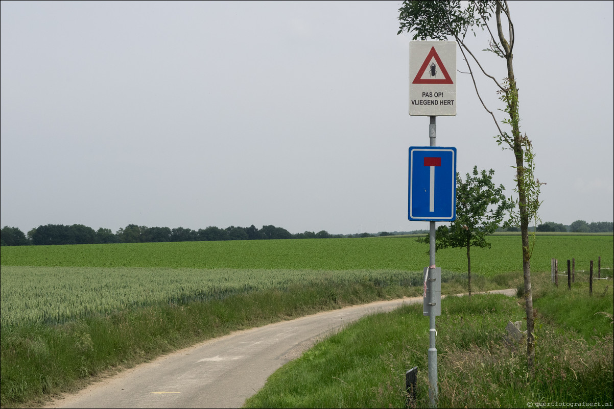 Grenspad DE: Sittard - Landgraaf