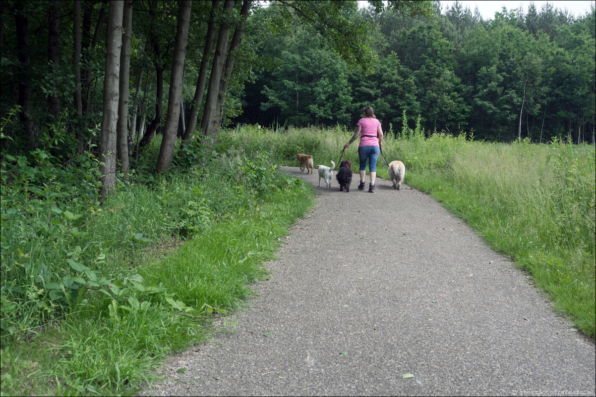 Grenspad DE: Sittard - Landgraaf