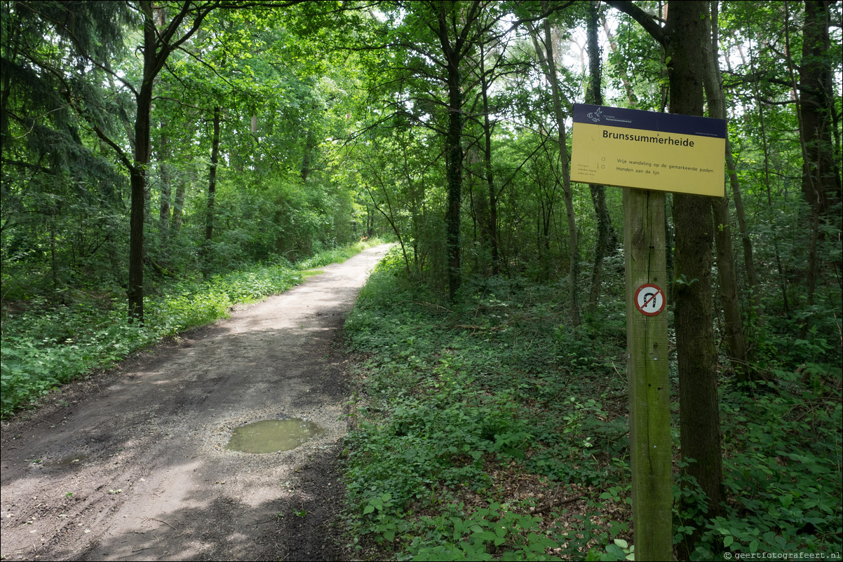 Grenspad DE: Sittard - Landgraaf