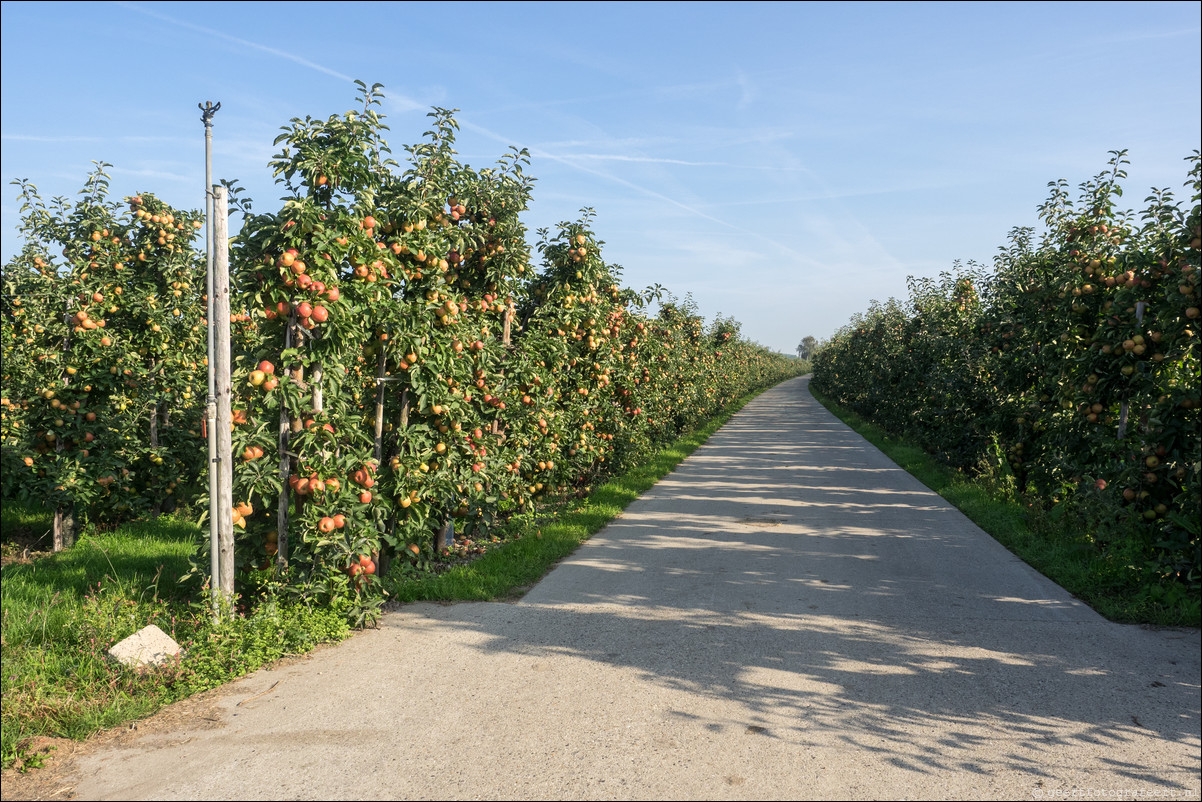 Limes : Houten - Arnhem