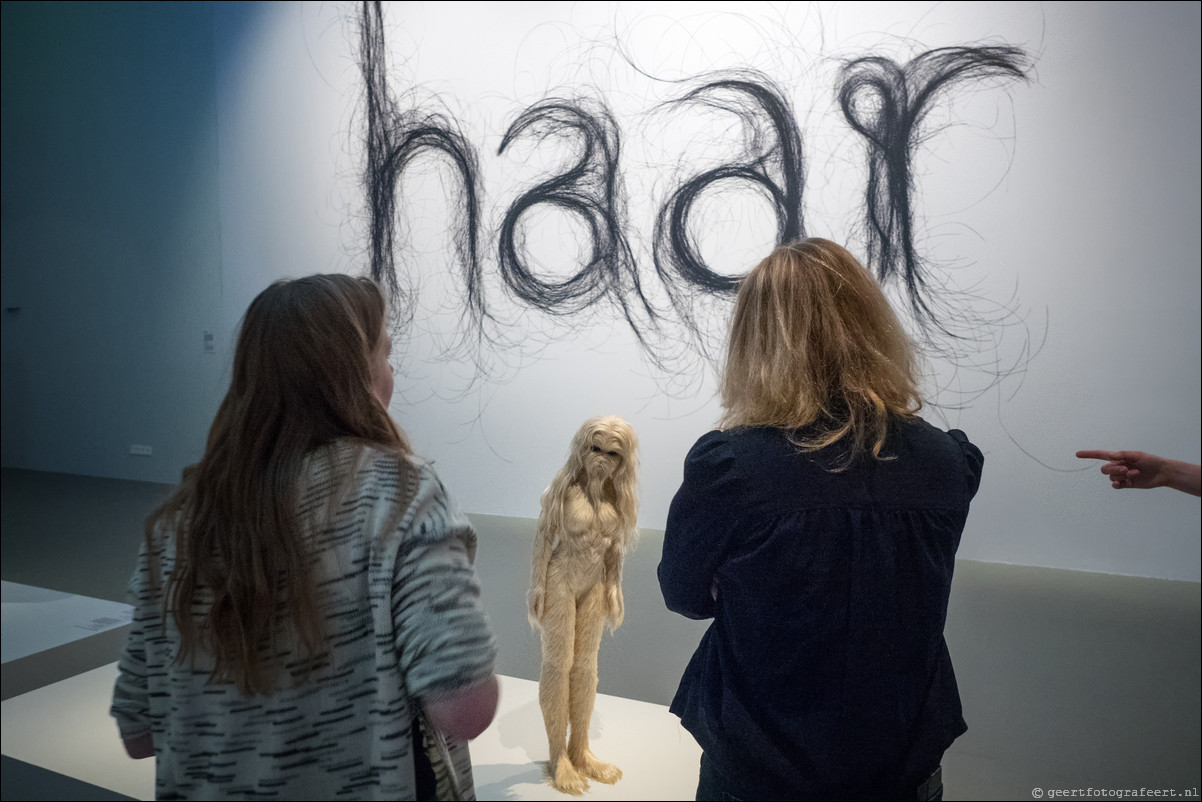 Haar! Menselijk haar in mode en kunst. Centraal Museum, Utrecht