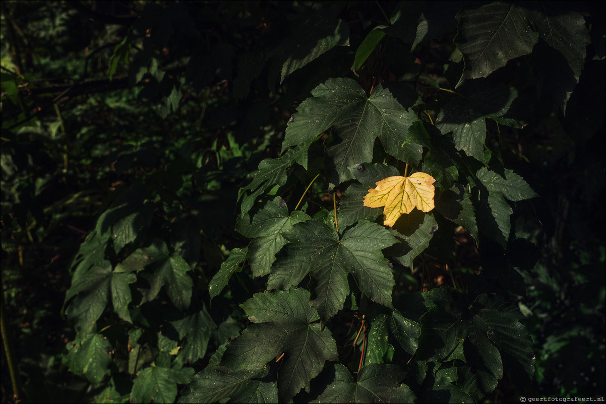 herfst