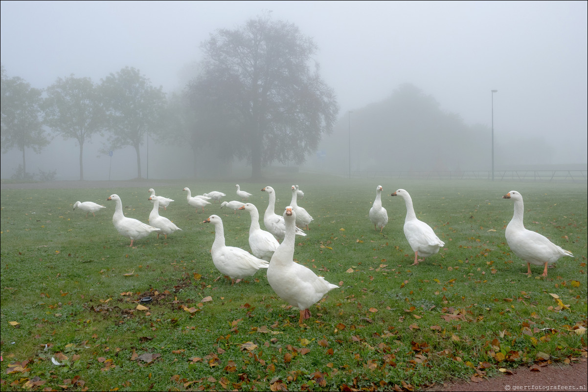 herfst