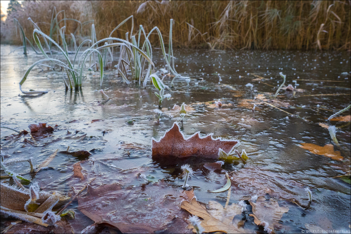 herfst