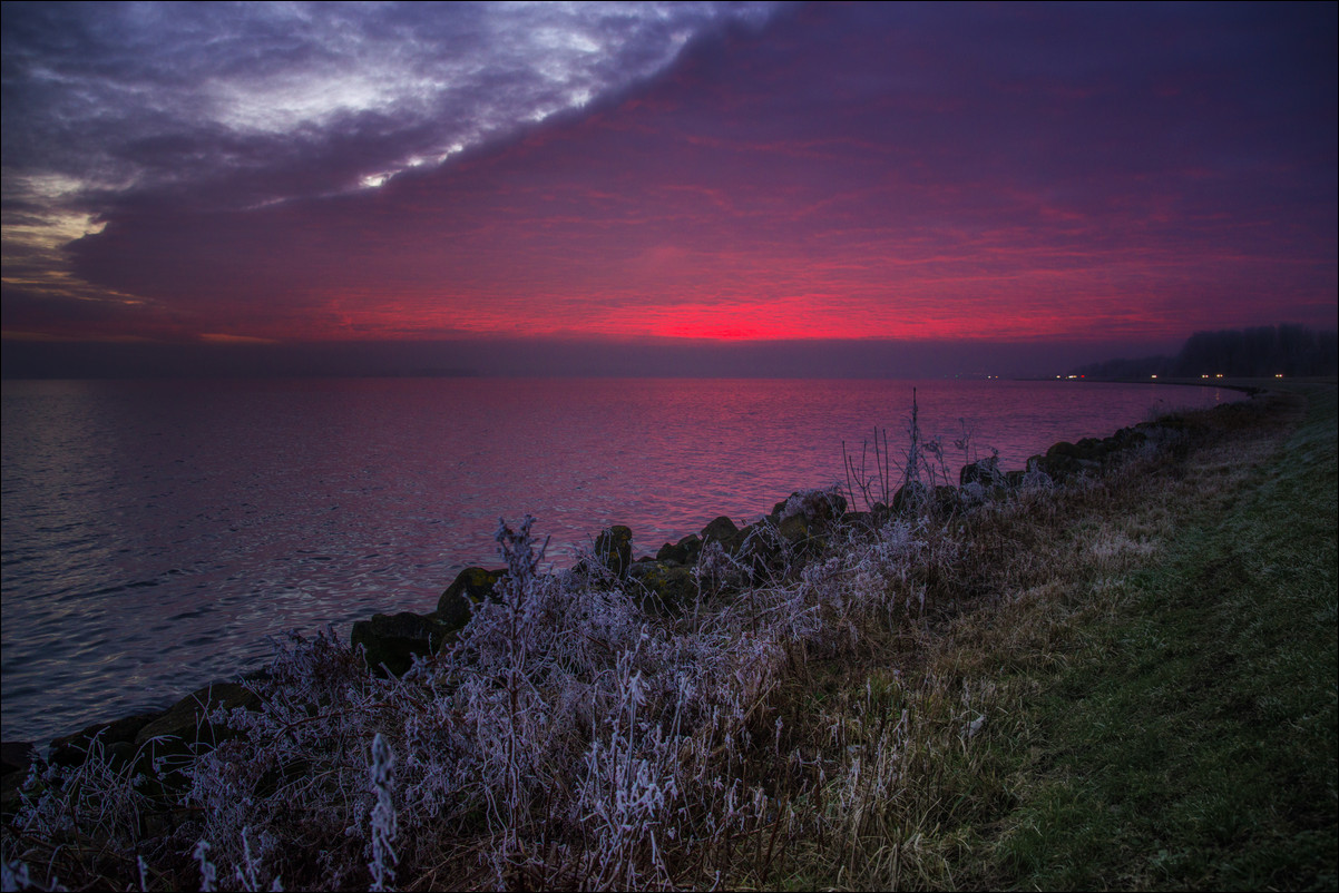 Gooimeer